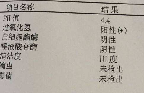 陰道分泌物91桃色软件分析陰道清潔度